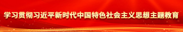 污视频逼日骚学习贯彻习近平新时代中国特色社会主义思想主题教育